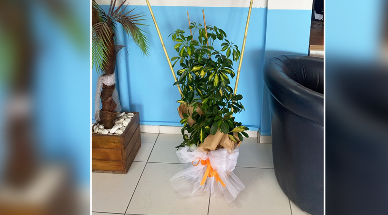 Real Şube Açılışımız